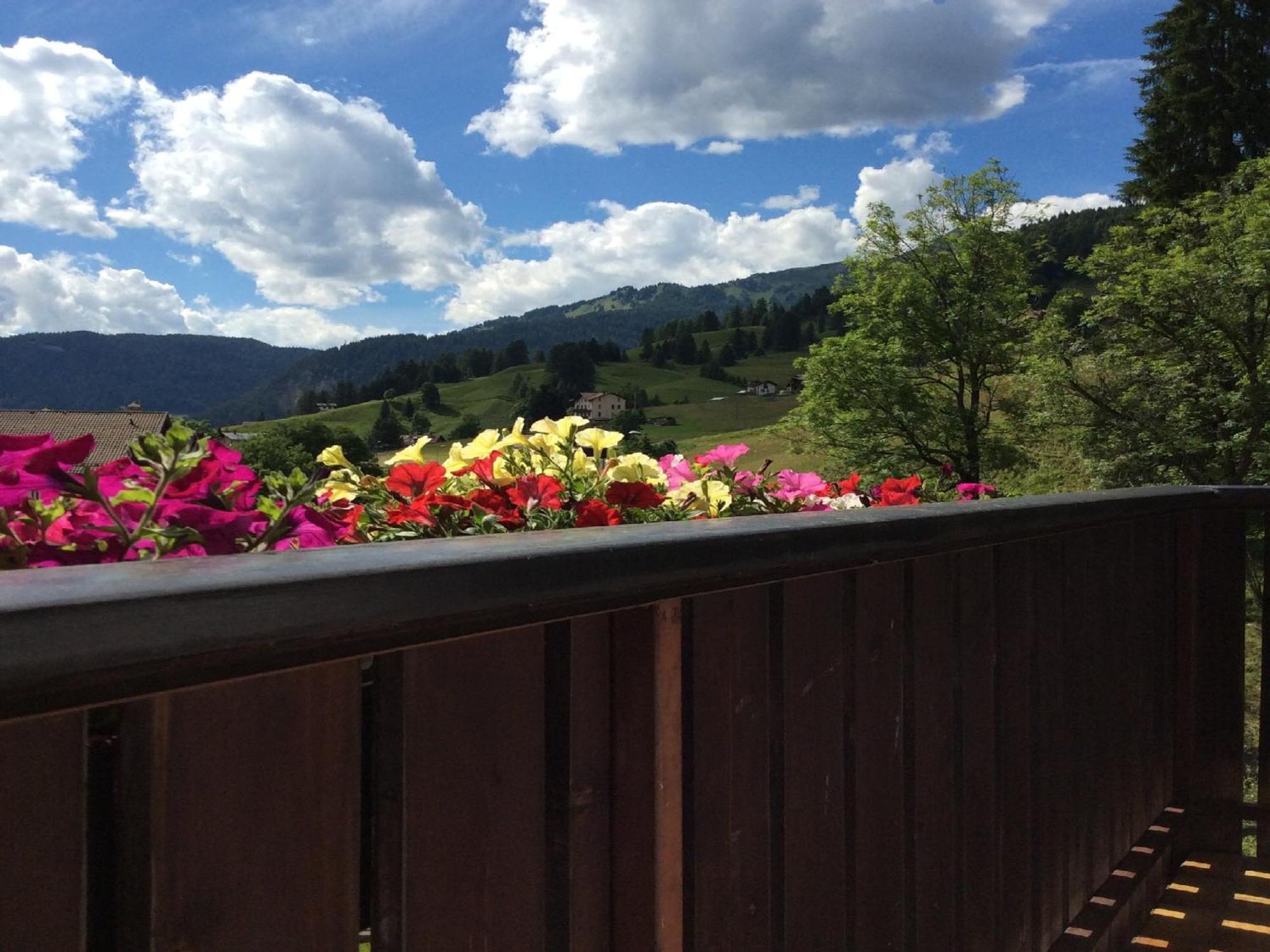 Centro Thule - Genziana Apartment Selva di Cadore Luaran gambar