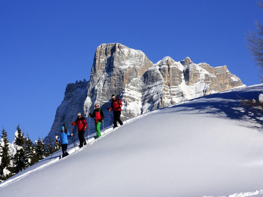 Centro Thule - Genziana Apartment Selva di Cadore Luaran gambar
