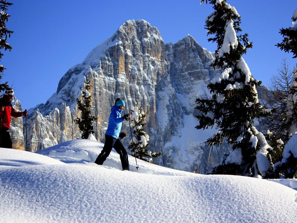 Centro Thule - Genziana Apartment Selva di Cadore Luaran gambar